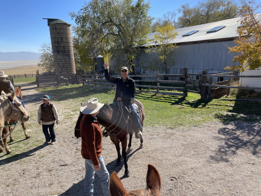 Horse 1